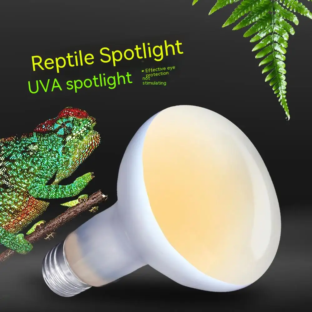 220V Pet Climbing Heating Turtle Lizard Day