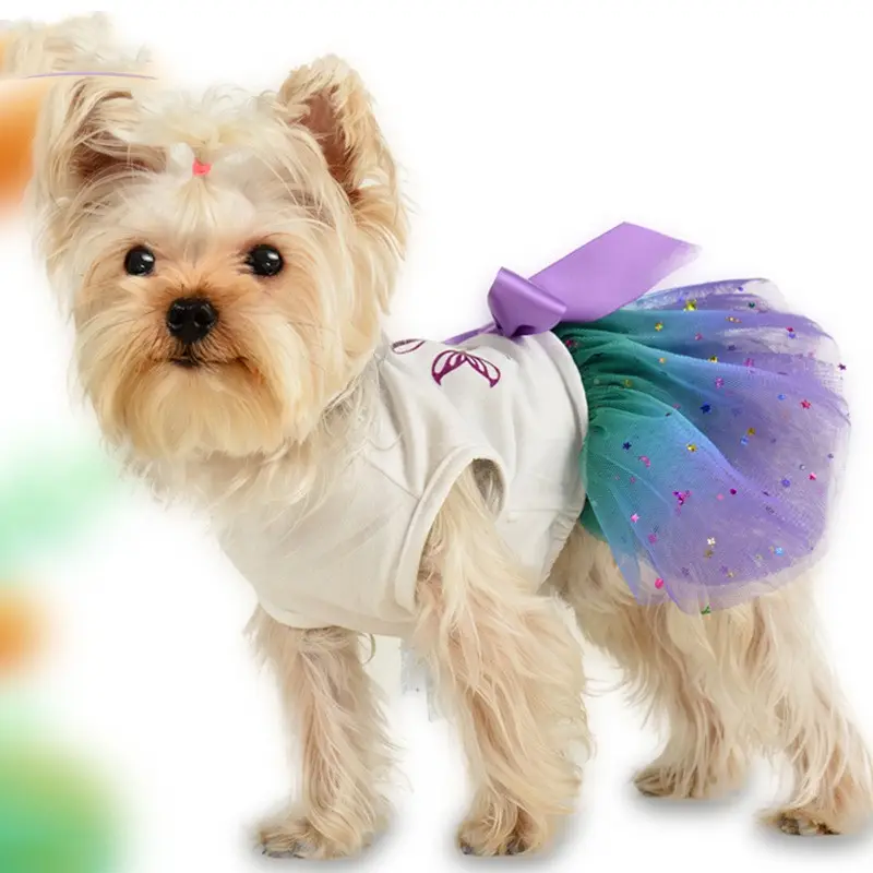 Pet Dog Spring And Summer