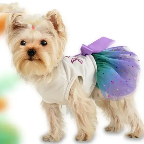 Pet Dog Spring and Summer New Gradient Starry Sky