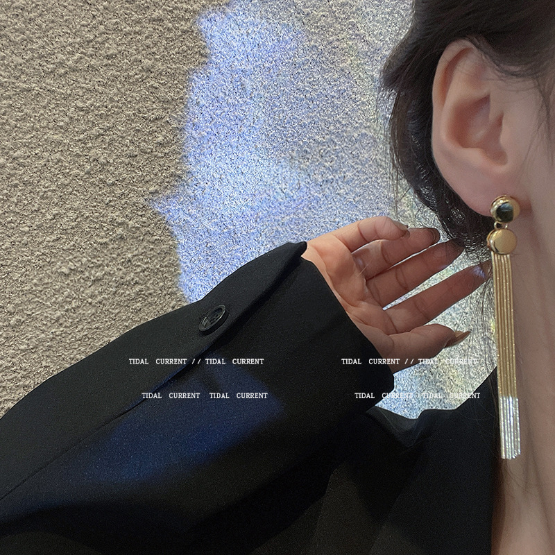 S925 Silver Needle Long Tassel Earrings