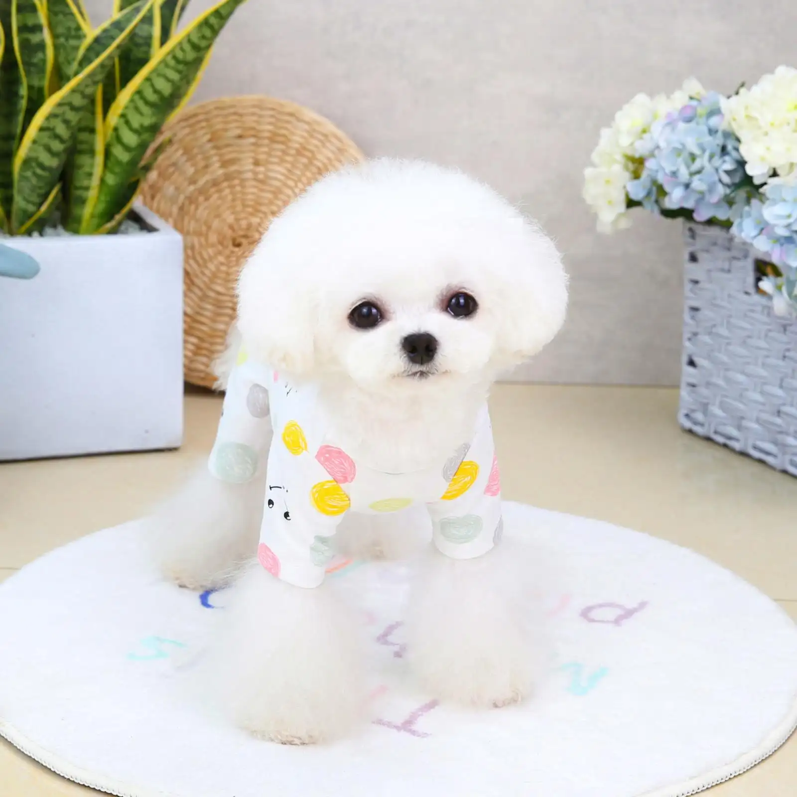 Fashion Casual Pet Four-leg Clothing
