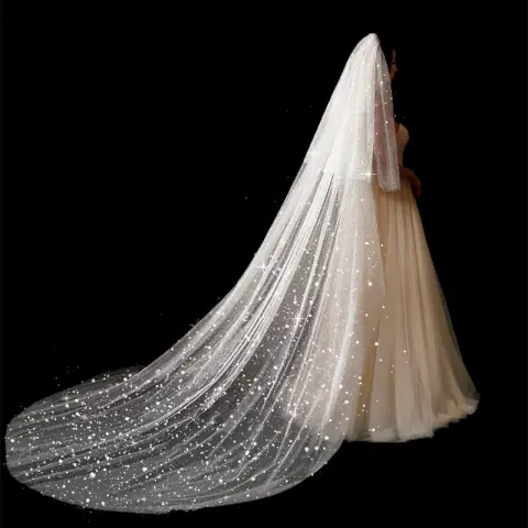 Bridal Wedding Dress Long Tail Luxury Super Fairy Veil