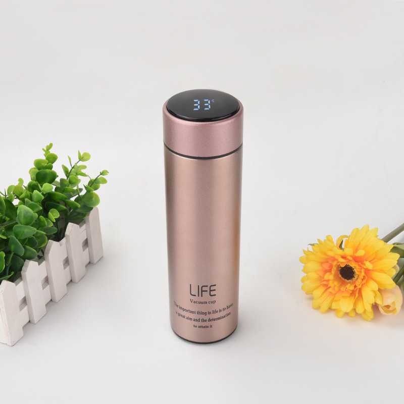 Title 2, Stainless Steel Smart Vacuum Flask Straighten T...