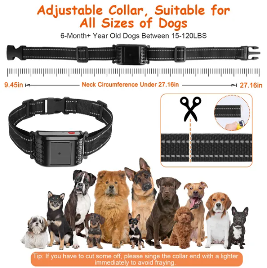 990FT Range Dog Wireless Fence Remote Training Collar IPX6 Waterproof Receiver With 0-9 Levels Beep Vibration Shock Mode 4 Channels Rechargeable Transmitter System