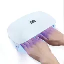 Plug Version