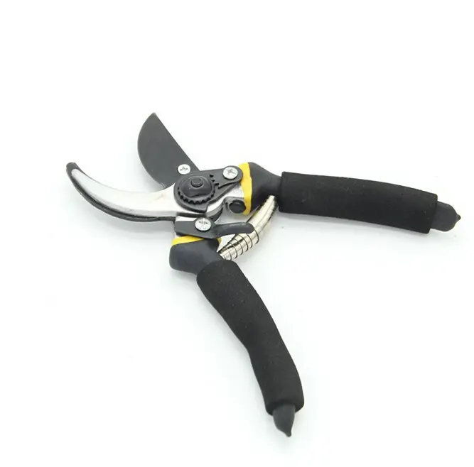 Garden Shears Fruit Tree Pruning