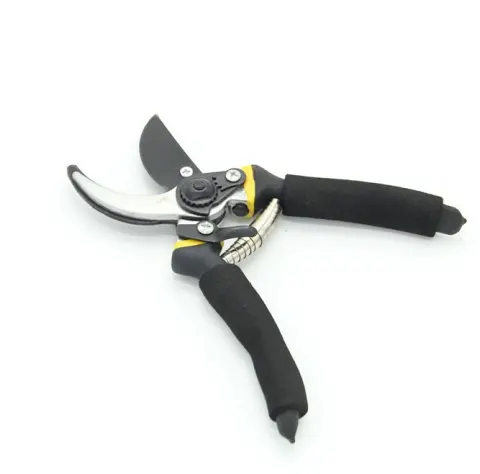Garden Shears Fruit Tree Pruning