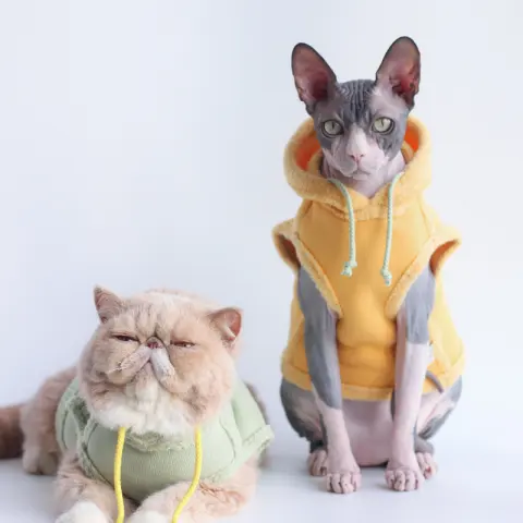 Pet Autumn and Winter Fleece Thickened Warm Hooded Sweater