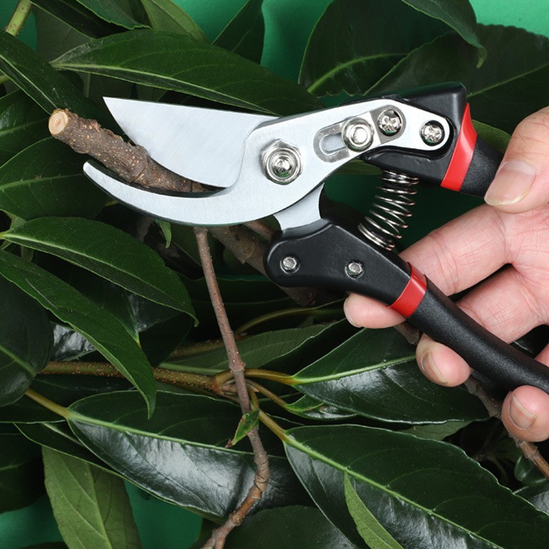 Pruning Shears with TPR Handle