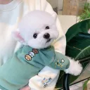 Bean Green Pet Pack