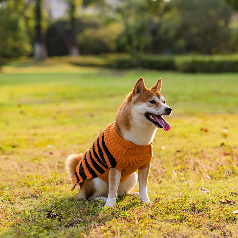 Title 3, Maglione di Halloween per cani Costume per anim...