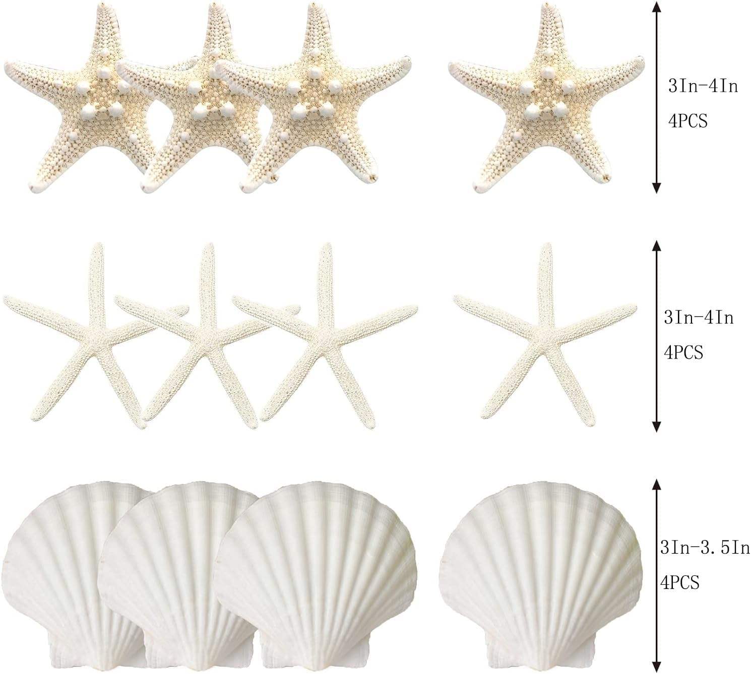 3-4 Inches Large Starfish And Scallop Shells For Crafts 12PCS Natural Beach Sea Shells For Crafting_voghion.com