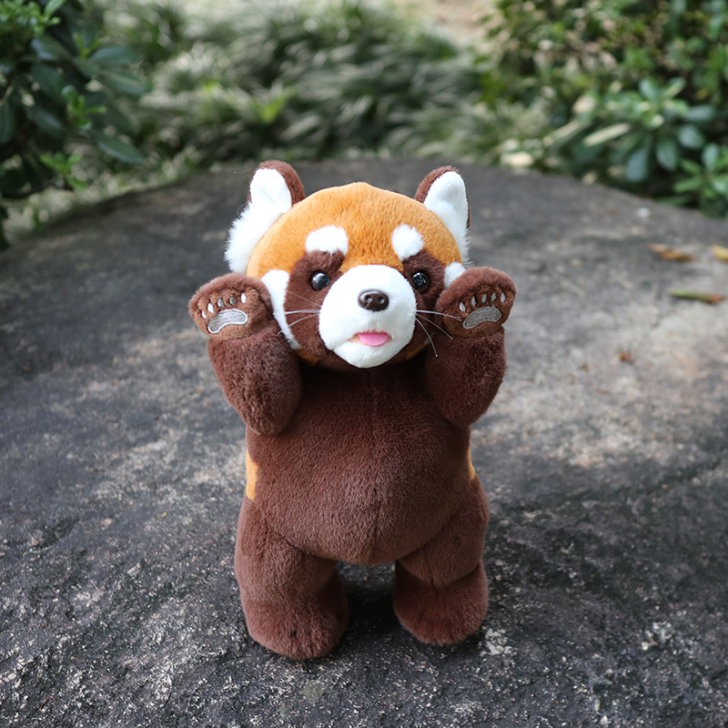 Lesser panda