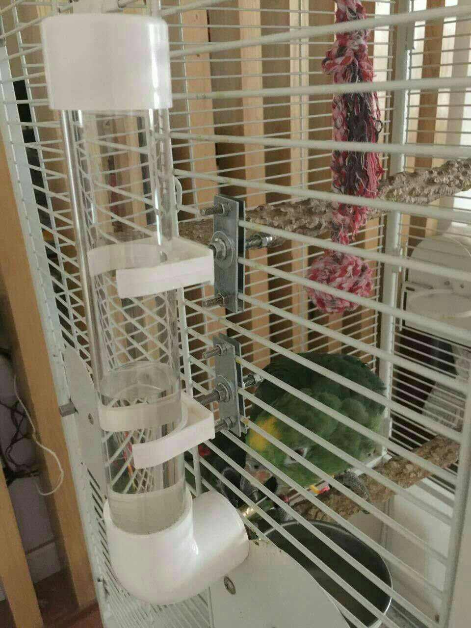 Pet parrot bird automatic drinking fountain striker type