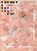 Color12