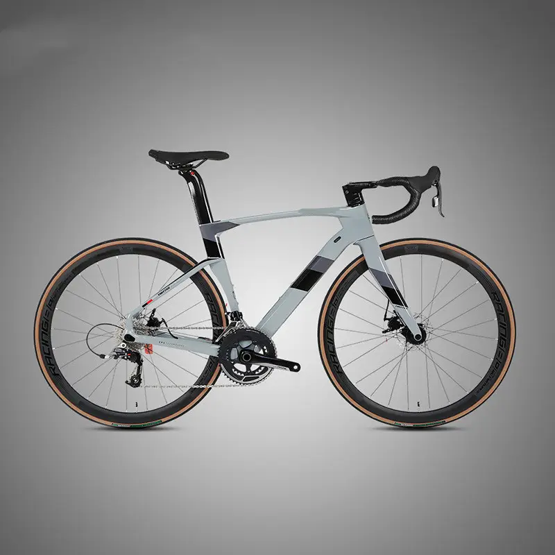Fully Hidden Carbon Fiber Disc Brake Road