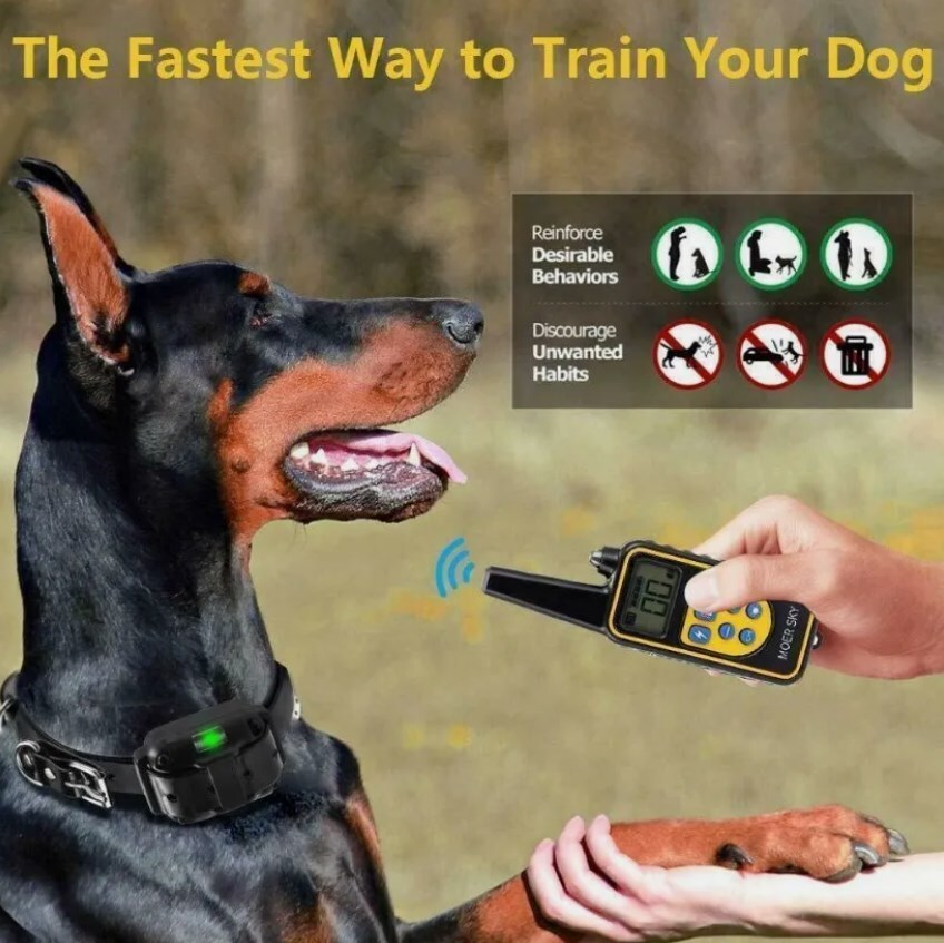 800M Electric Pet Dog Training E-Collar Anti-Bark Obedience Remote Control LCD — foto 11