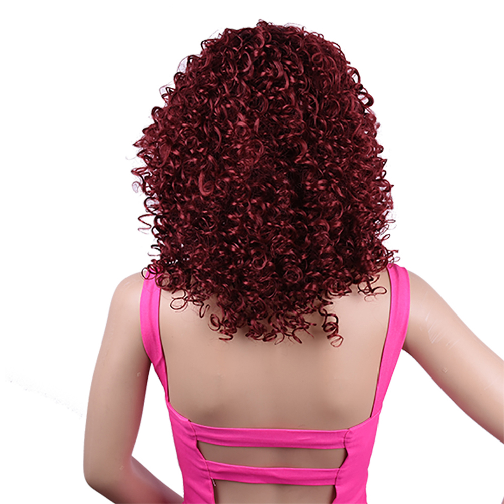 Synthetic Afro Curly Wig African Wigs For Black Women — foto 4