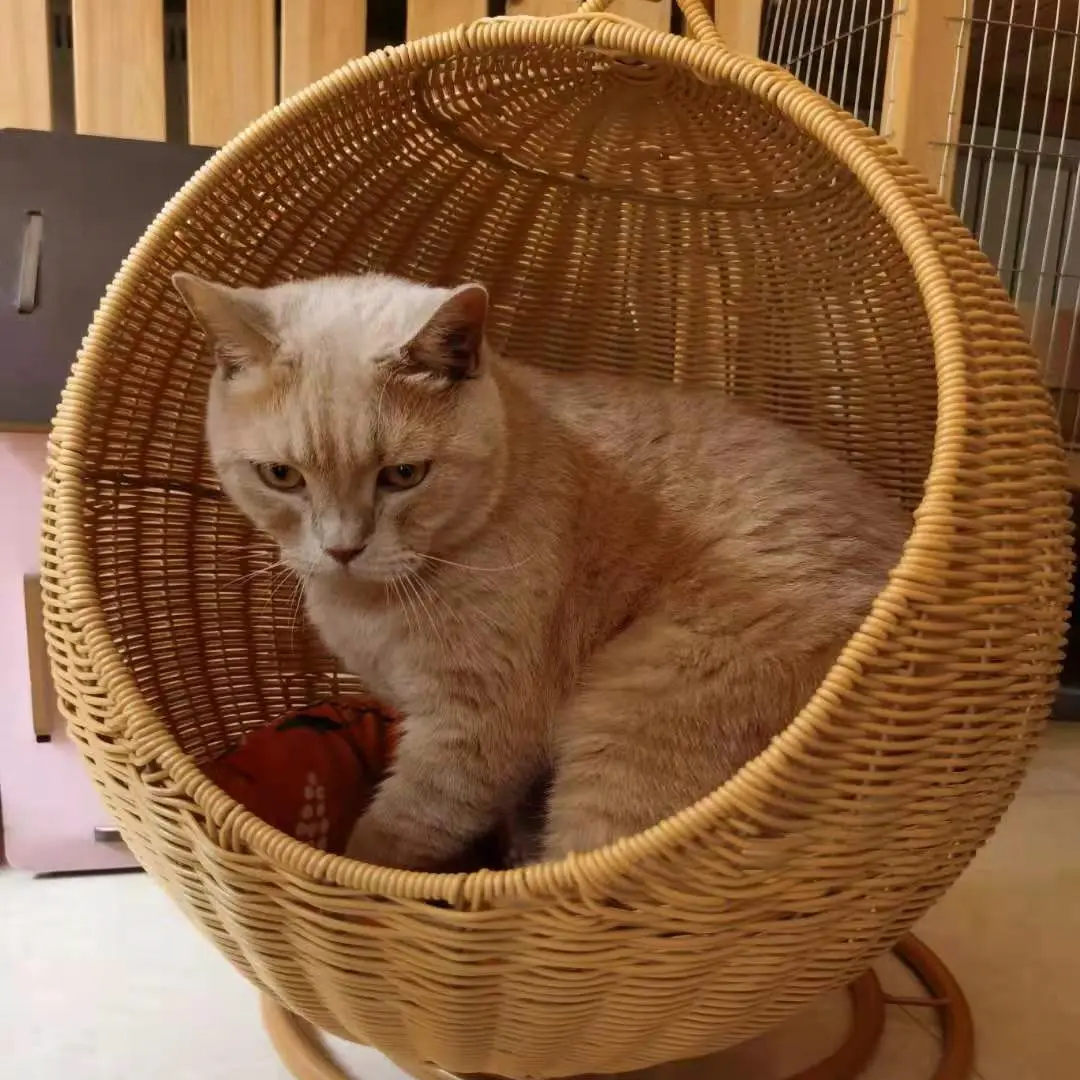 Cat Mattress Cradle Breathable Pet