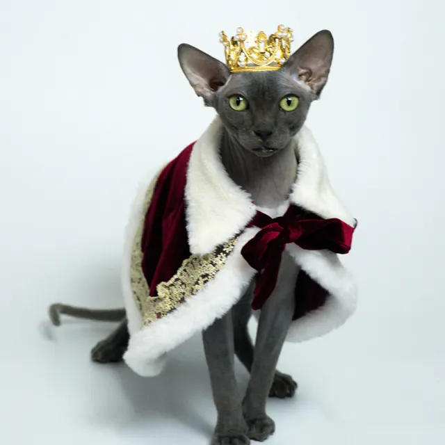 Cat Dog Pet Cape Muppet Teddy German Clothes Red - Shop at LoveMi