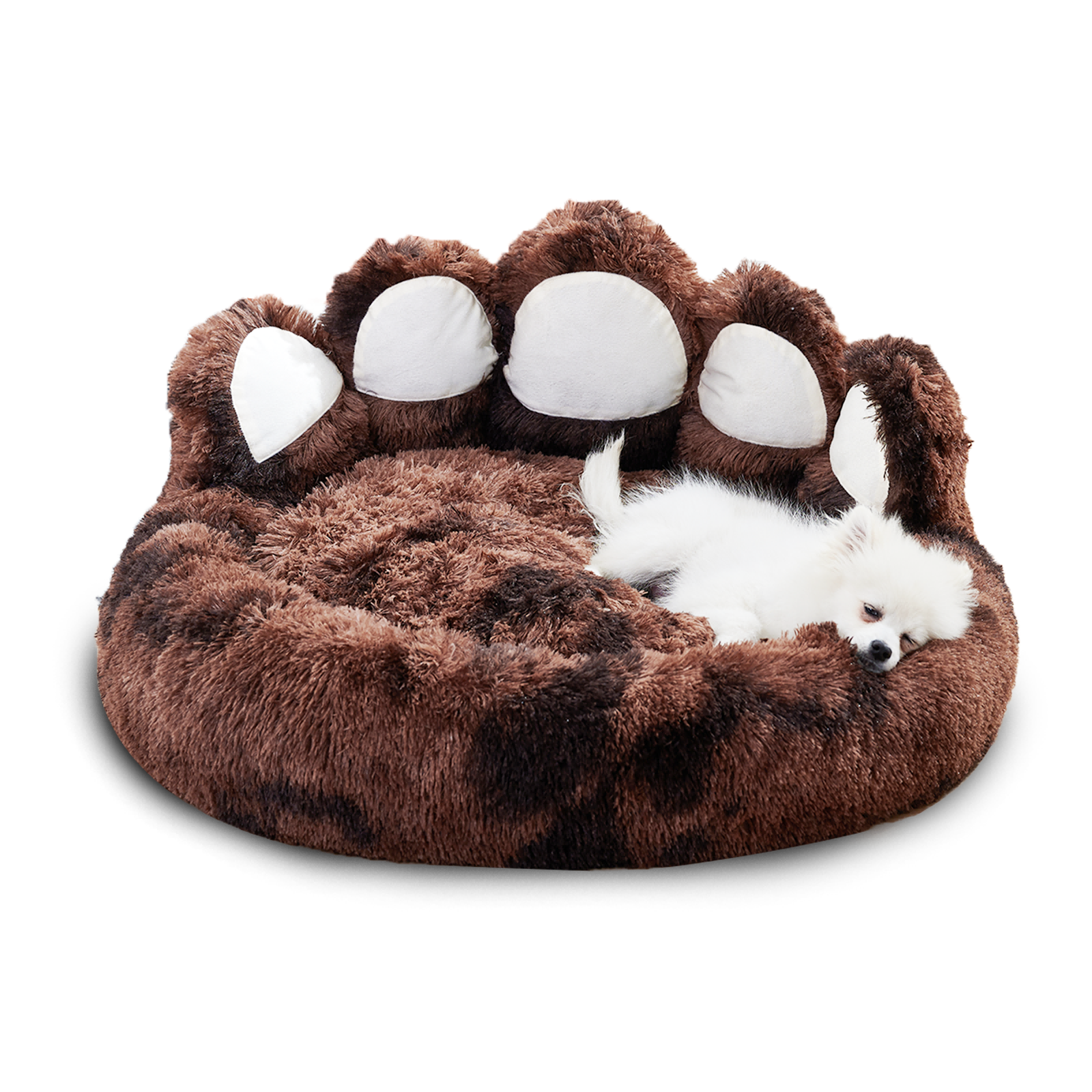 Cozy Bear Paw Dog Bed for Pets. Unique and Adorable Standing Bear Paw Design, Tailored for Small and Medium Dogs, Warm and Luxuriously Soft Comfort, Distinctive and Stylish Design, Versatile and Practical Pet Bed, Restoring Upright Shape After Unpacking.