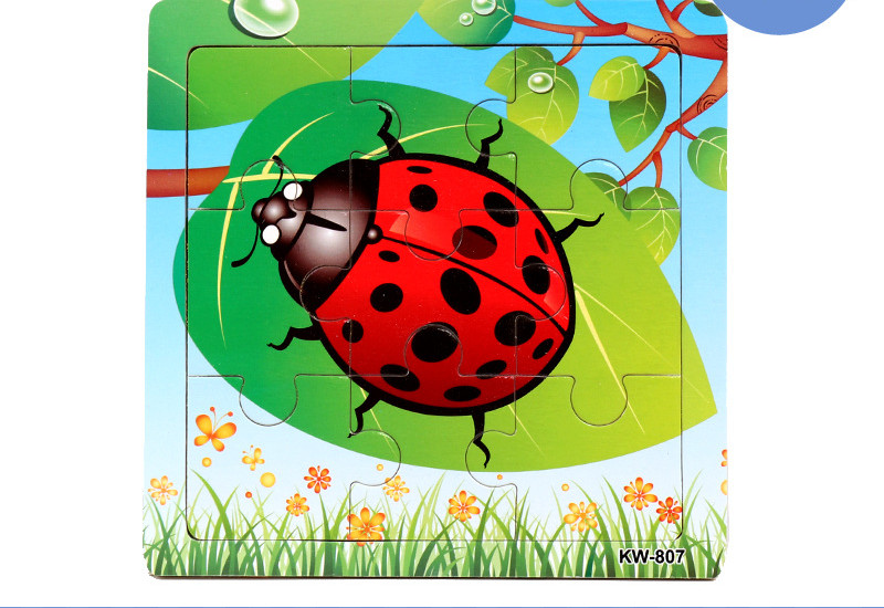 Ladybug