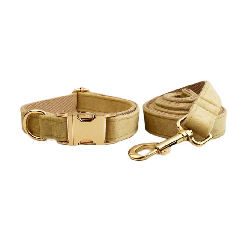 Dog pen dog rope3