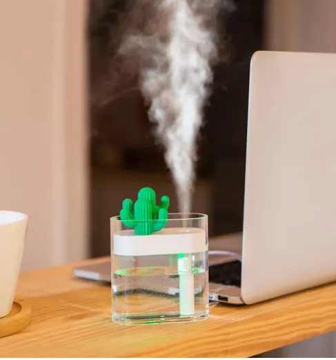 Transparent Landscape Cactus Portable Humidifier – image 3