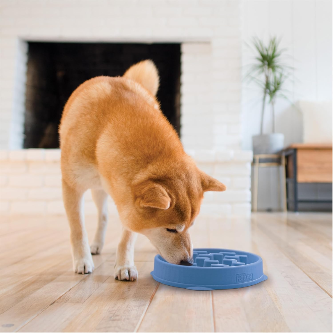 Feeder Slo Bowl  Medium 2Cup Capacity, Slow Feeding, Small To Medium Dogs  Cats, Non Slip, Blue, Notch Pattern — foto 6