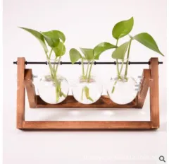 Glass Wood Vase Table Desktop Hydroponics Plant Stationery Bonsai Flower Pot Decoration Hanging Pots with Wooden Tray Pen Holder - C4 - View 1