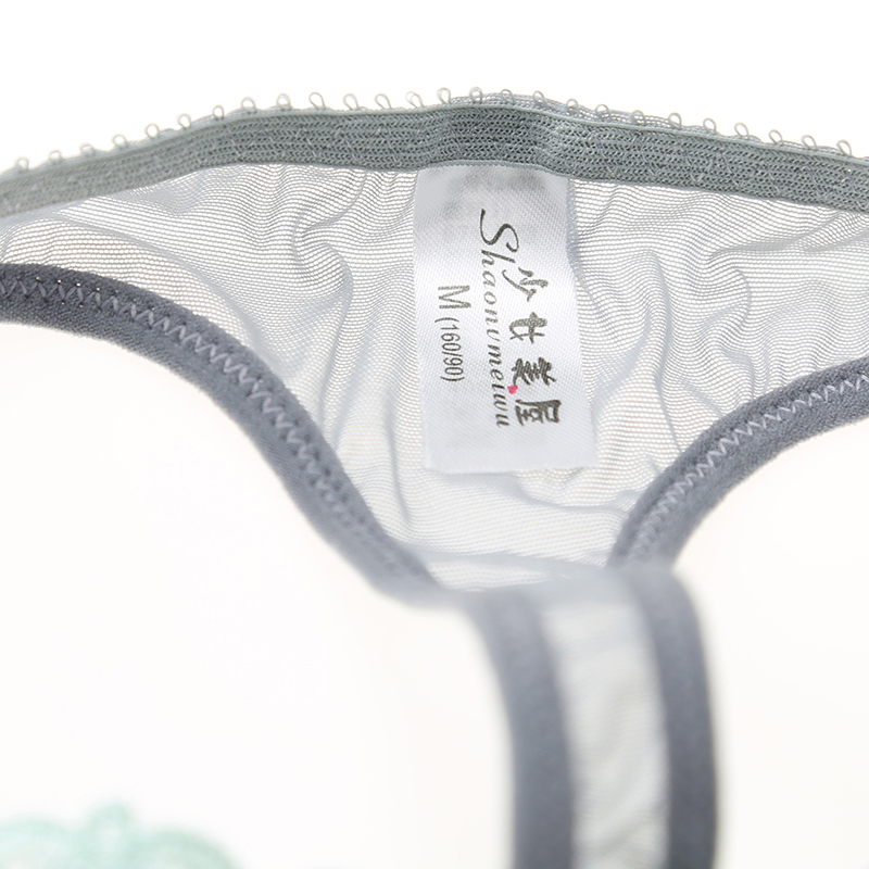 Title 4, Sexy ladies embroidered panties