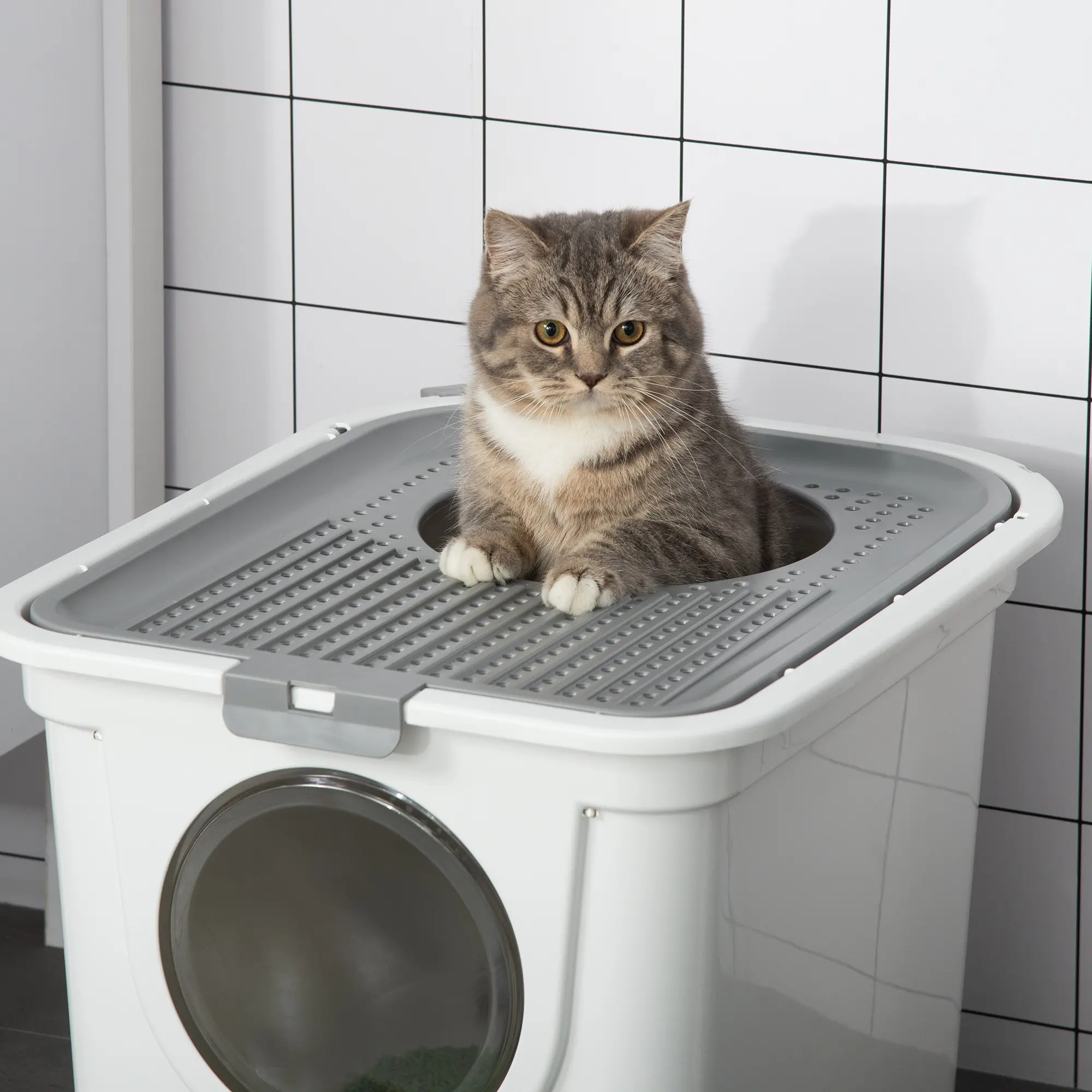 PawHut Cat Litter Box, Pet Toilet, Enclosed