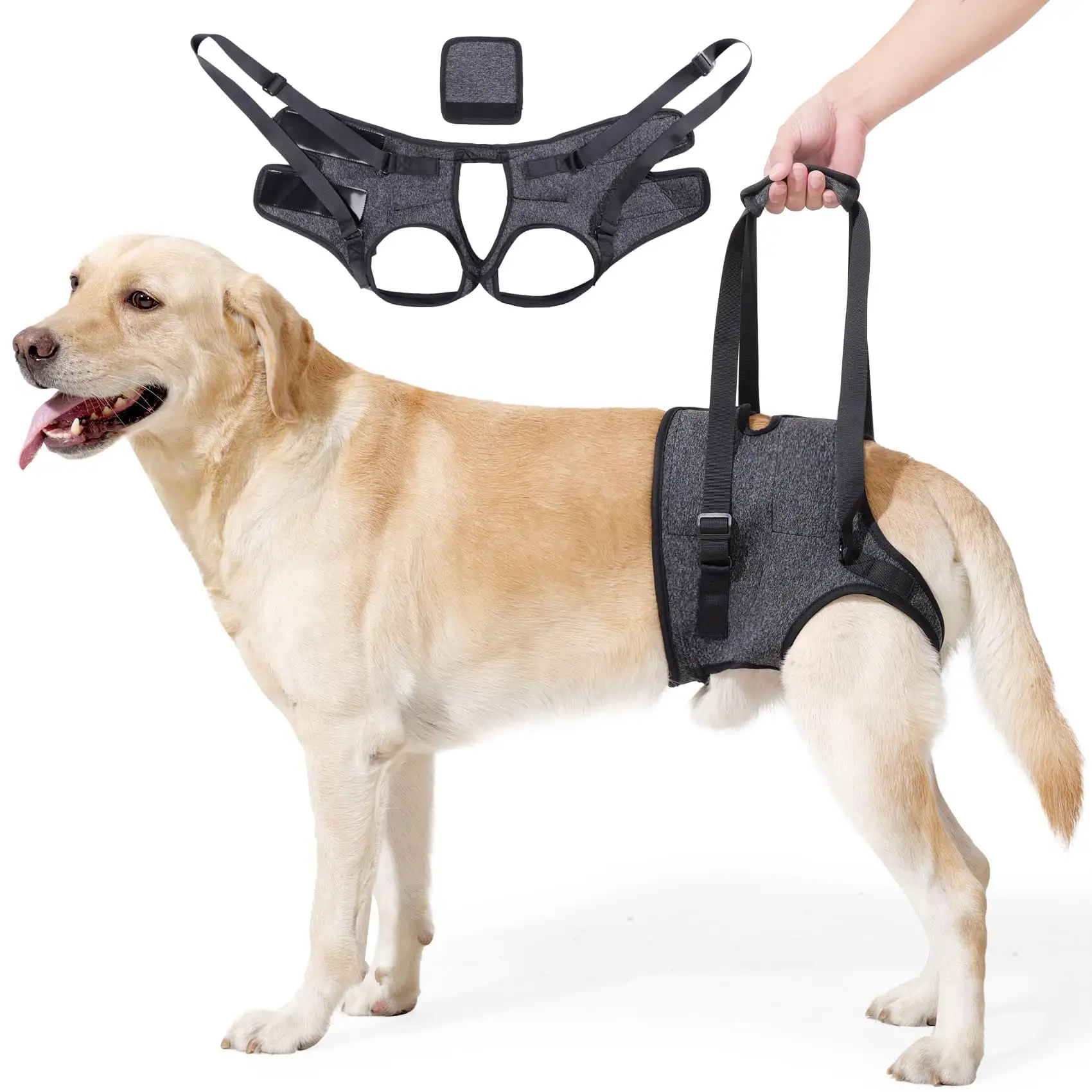 Adjustable Dog Lift Harness, Sling