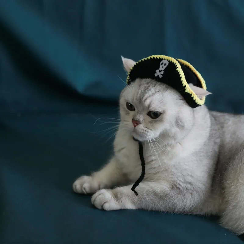 Pirate Hat Leaky Ear Small Handmade Pet