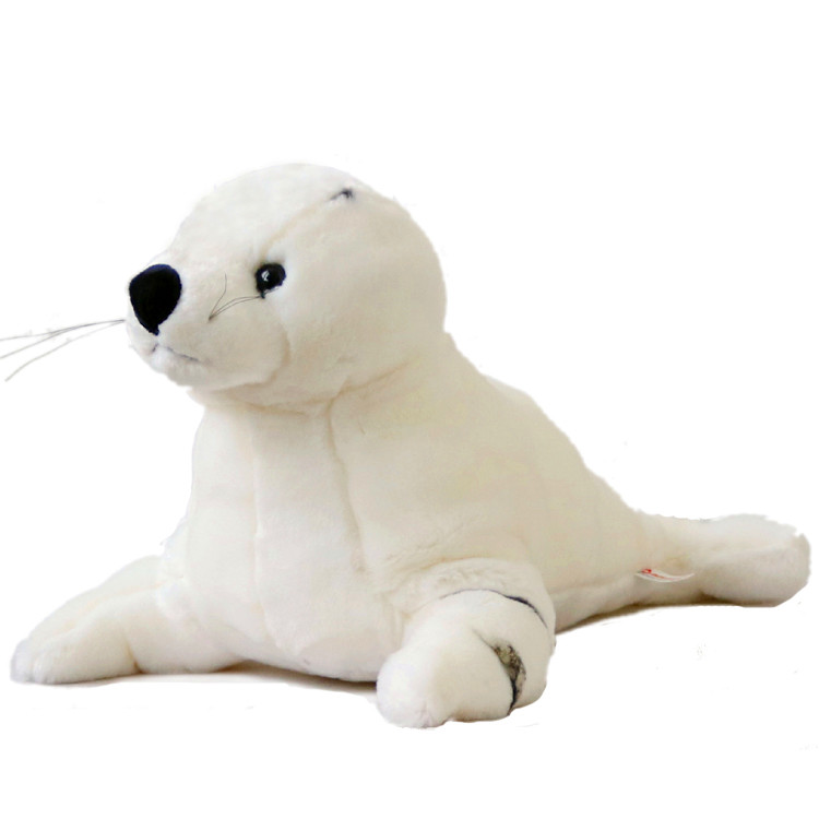 White sea lion forty centimete