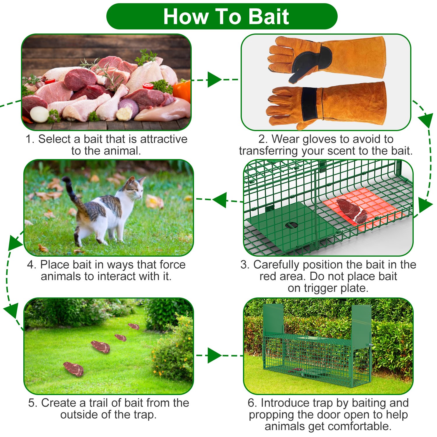 32in 2 Door Live Animal Cage Trap With Glove Green For Animals Under 12LBS Easy To Setup Humane Galvanized Iron Trap Cage For Rabbits Groundhogs Skunk Opossums Nutria Stray Cats 7