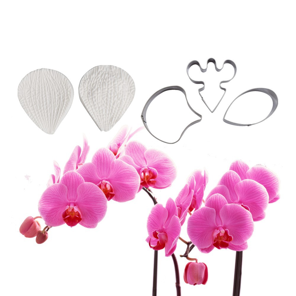 Title 3, Phalaenopsis Stainless Steel Cutting Mold Flowe...