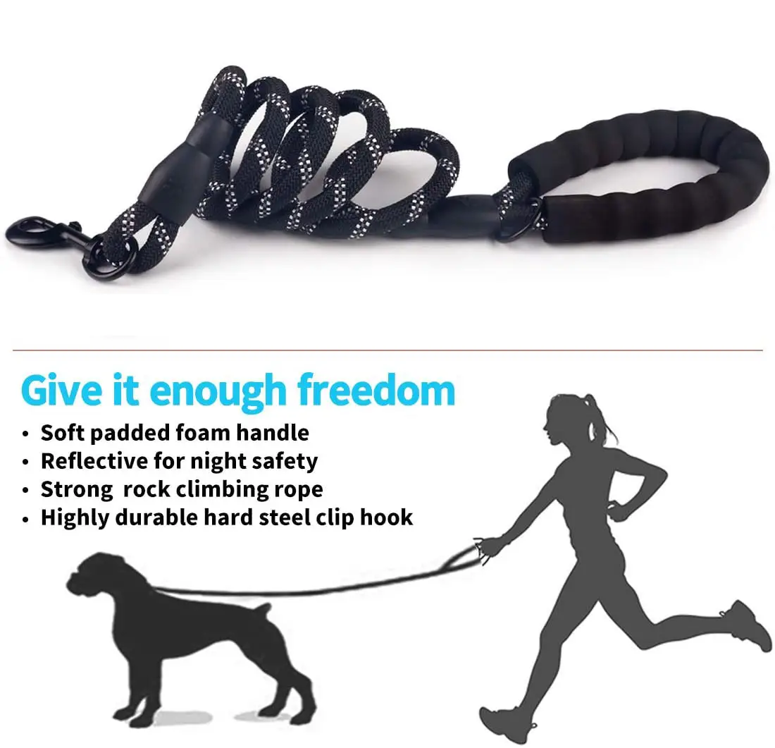 Small Medium Sized Pet Dog Luminous Leash