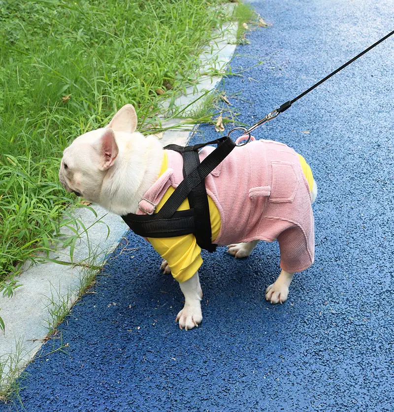 Dogpug Hanbae Fleece Bib Pants