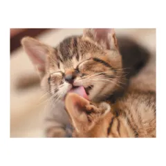 Embroidery Cat Animal Rhinestone Pictures Home Decor - H - View 1