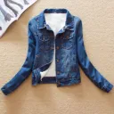 Dark Blue No Fur Collar