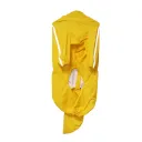 Yellow Male Dog