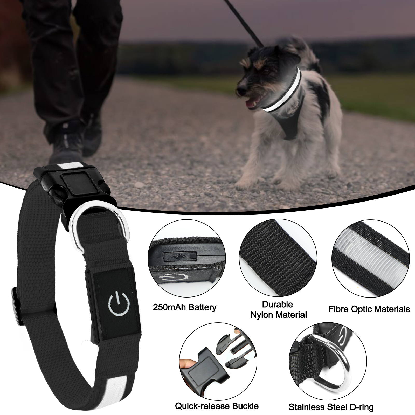 Light Up Dog Collar - Lights For The Dark Night, Adjustable Flashing — image 12