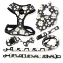 Black Daisies