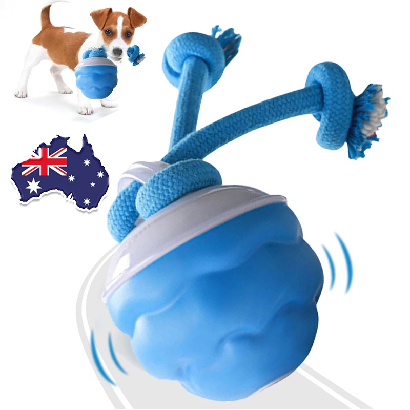 The Chase Buddy Dog Boredom Stimulating Toy 2025 Smart Pet Puppy Ball With Ropes
