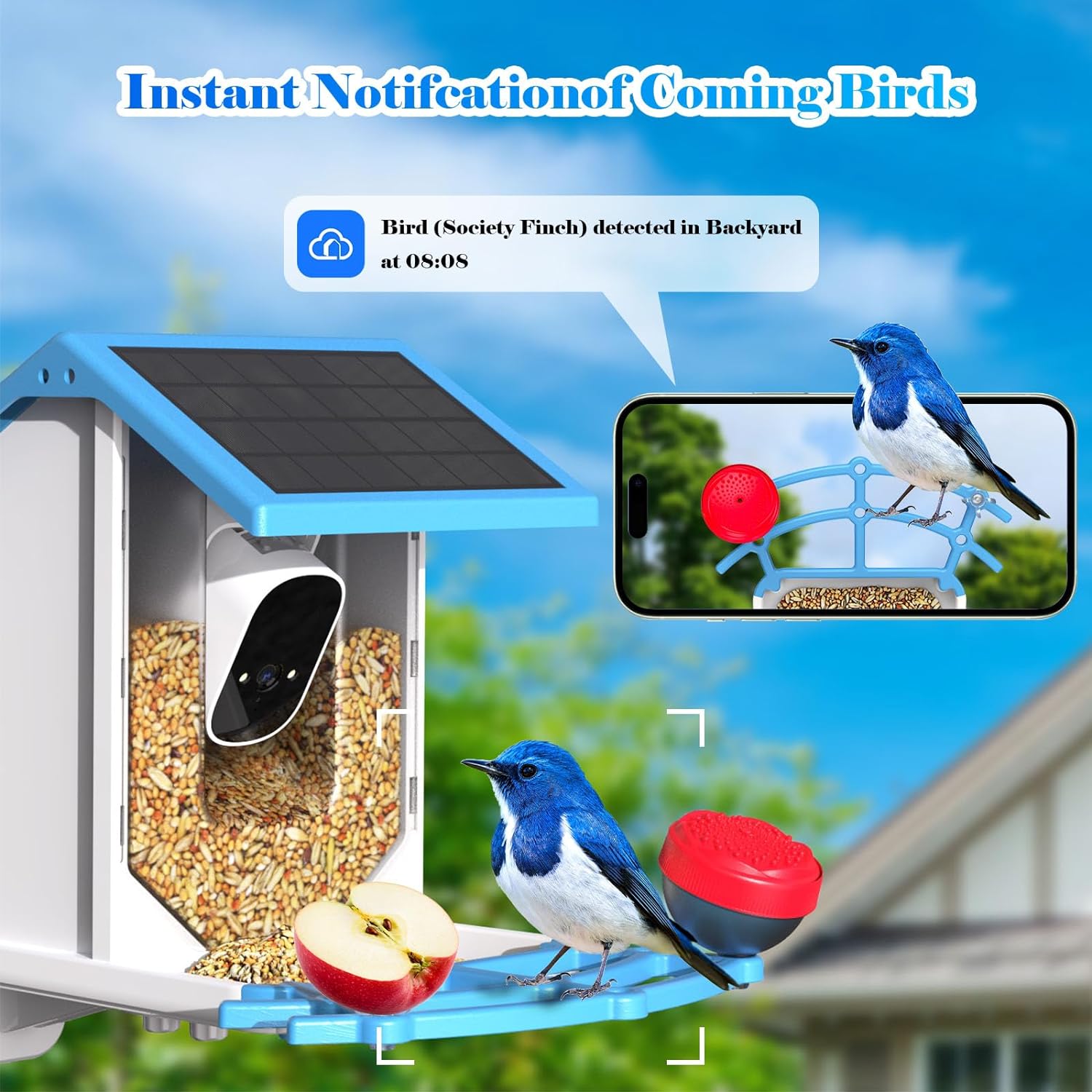 Smart Bird Feeder With Camera Solar Powered WiFi 4MP Live Camera AI Identify Bird Species Auto Capture Garden Bird Watching Motion Detection Ideal Gift For Bird Lovers Blue