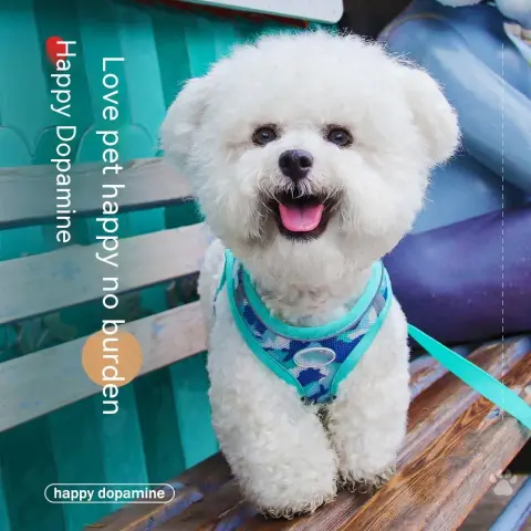 New Dog Hand Holding Rope Vest-style Breast Strap Reflective