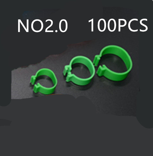 The Chicken Foot Ring 2.0Green 100Pcs - Shop at LoveMi