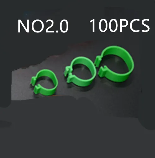 The Chicken Foot Ring 2.0Green 100Pcs - Shop at LoveMi