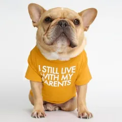 Fadou Turtleneck Round Neck T-shirt Pet Clothes - Yellow - View 1